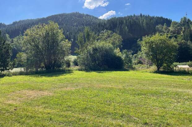 Grundstück kaufen in 8653 Stanz (Bild 2)