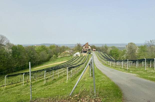 Haus kaufen in 8441 Sankt Andrä (Bild 5)