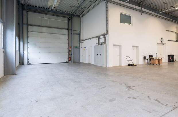 Gewerbeobjekt mieten in 4812 Wiesen (Bild 4)