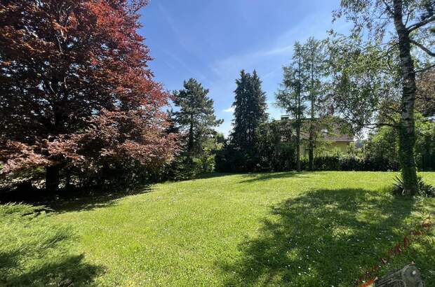 Einfamilienhaus kaufen in 2113 Karnabrunn (Bild 4)