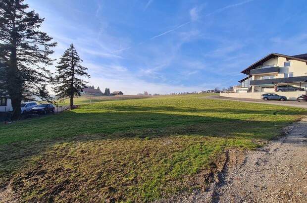 Grundstück kaufen in 4441 Behamberg (Bild 3)