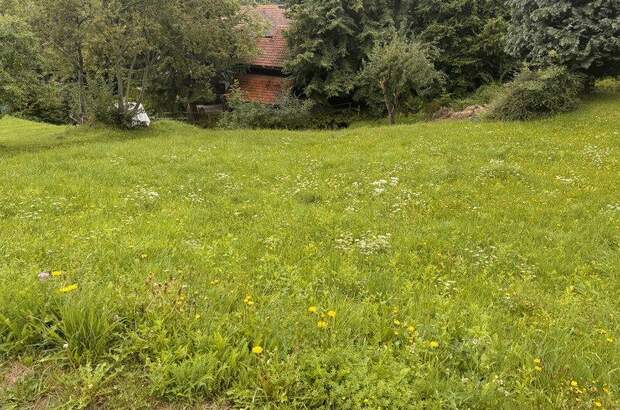 Grundstück kaufen in 9545 Radenthein (Bild 3)