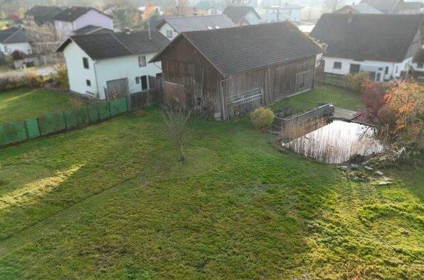 Haus kaufen in 4962 Mining (Bild 2)