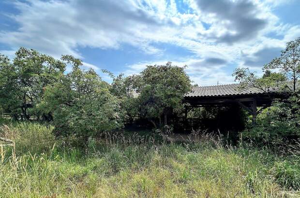 Grundstück kaufen in 3710 Ziersdorf (Bild 1)