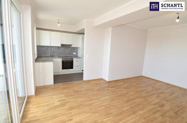 Terrassenwohnung mieten in 2320 Schwechat (Bild 2)