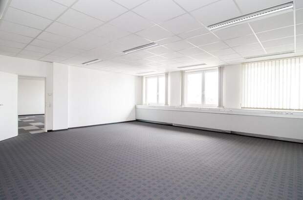 Gewerbeobjekt mieten in 4600 Thalheim (Bild 3)