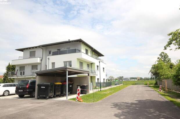 Anlageobjekt kaufen in 3425 Langenlebarn (Bild 5)