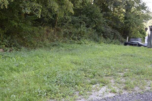 Grundstück kaufen in 3642 Kochholz (Bild 1)