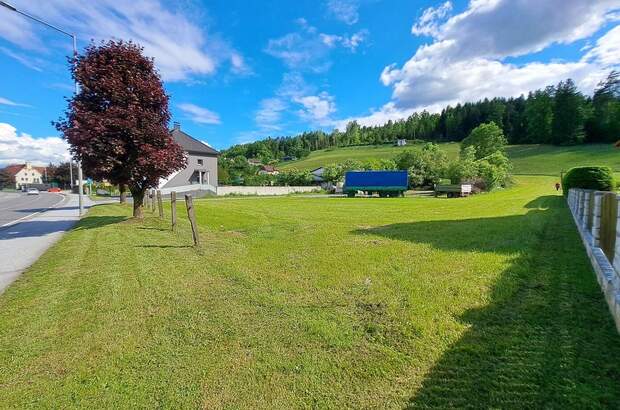 Gewerbeobjekt kaufen in 8582 Rosental (Bild 1)