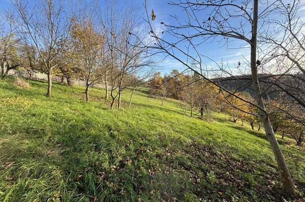 Grundstück kaufen in 8362 Ruppersdorf (Bild 2)