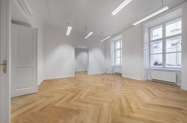 Gewerbeobjekt mieten in 1010 Wien (Bild 3)