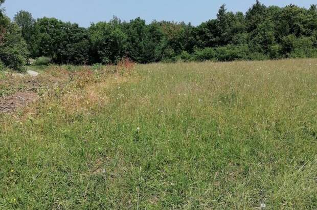 Grundstück kaufen in 53233 Vaganac (Bild 3)