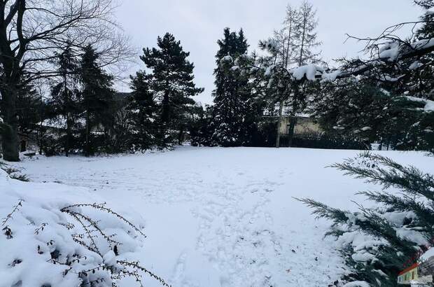 Einfamilienhaus kaufen in 2113 Karnabrunn (Bild 5)