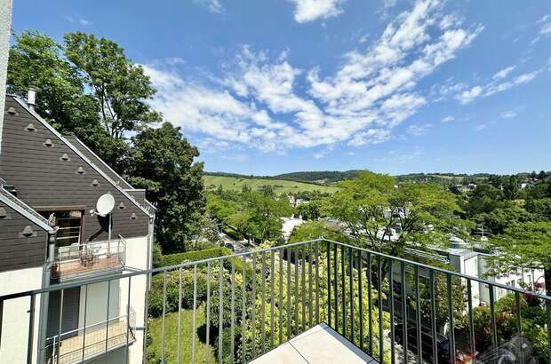 Terrassenwohnung kaufen in 1190 Wien (Bild 2)