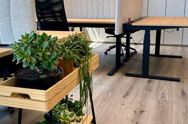 Gewerbeobjekt mieten in 4210 Gallneukirchen (Bild 3)