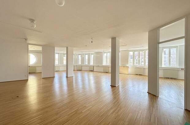 Gewerbeobjekt mieten in 1180 Wien (Bild 1)