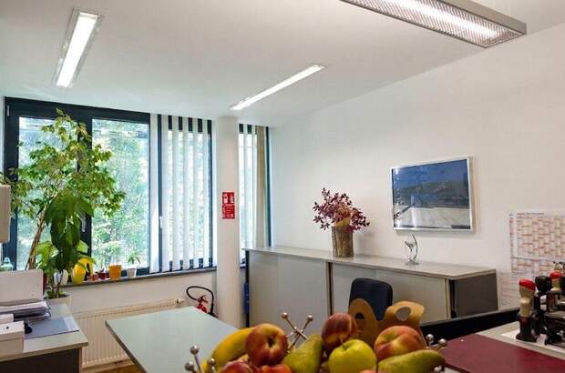Gewerbeobjekt mieten in 5020 Salzburg (Bild 4)