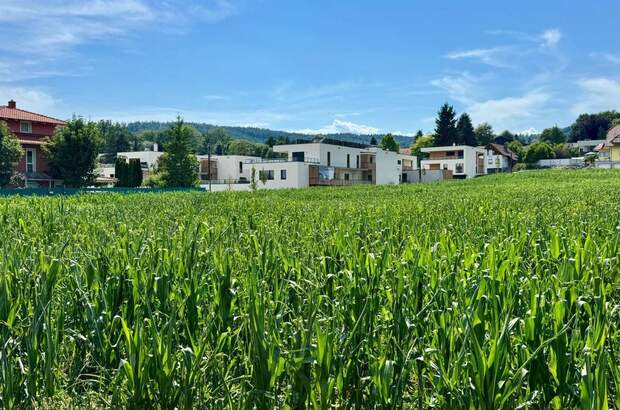 Wohnung kaufen in 8054 Graz (Bild 5)