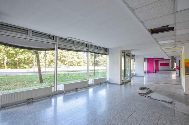 Gewerbeobjekt mieten in 1230 Wien (Bild 3)