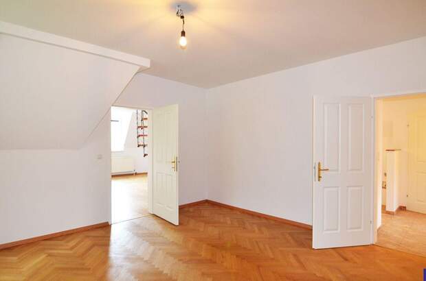 Altbauwohnung kaufen in 1130 Wien (Bild 1)