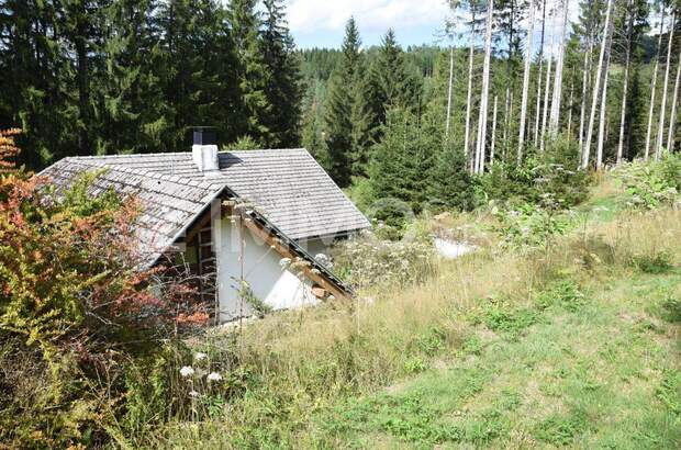 Einfamilienhaus kaufen in 4274 Schönau (Bild 1)