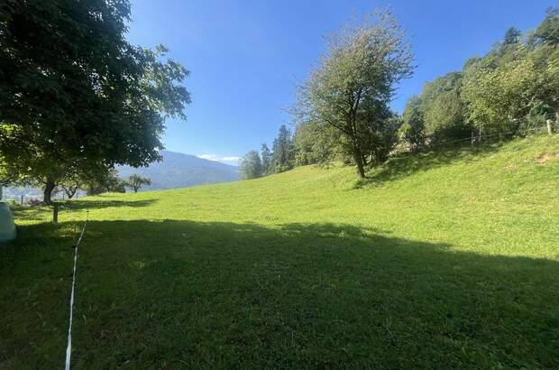 Grundstück kaufen in 8712 Proleb (Bild 1)