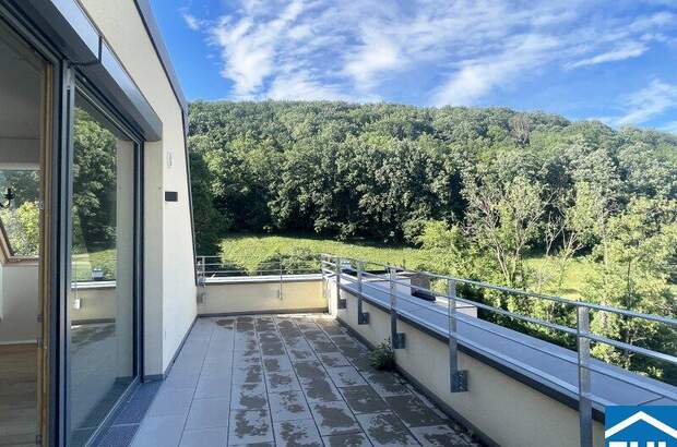 Terrassenwohnung mieten in 2391 Kaltenleutgeben (Bild 2)