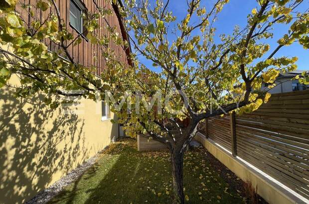 Mehrfamilienhaus kaufen in 2482 Münchendorf (Bild 3)