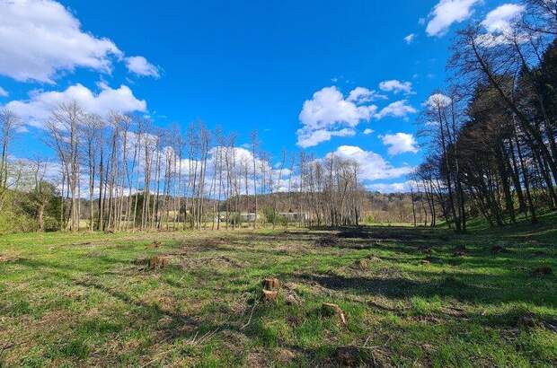 Grundstück kaufen in 8082 Kirchbach (Bild 5)