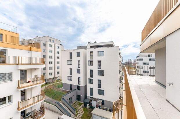 Terrassenwohnung mieten in 1100 Wien (Bild 5)