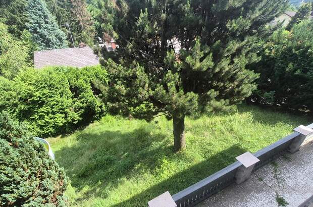 Einfamilienhaus kaufen in 3011 Untertullnerbach (Bild 3)