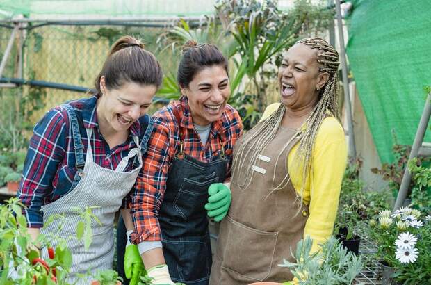 Wohnung mieten in 9100 Völkermarkt (Bild 5)