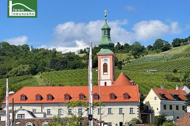 Terrassenwohnung mieten in 1190 Wien (Bild 5)