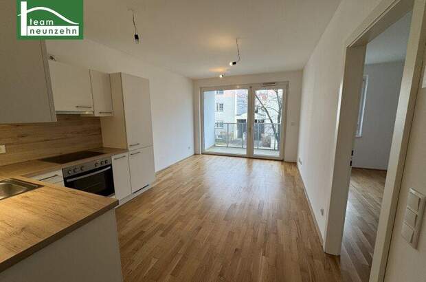 Terrassenwohnung mieten in 2700 Wr. Neustadt (Bild 1)