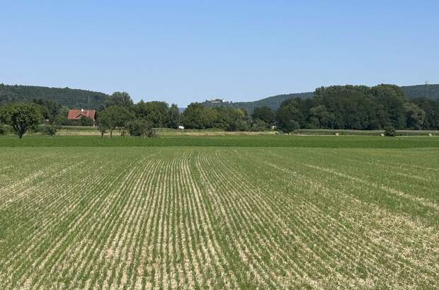 Grundstück kaufen in 2824 Seebenstein (Bild 2)