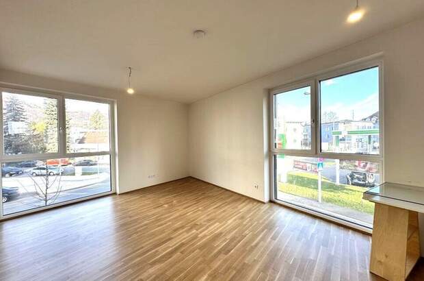 Wohnung mieten in 8020 Graz (Bild 1)