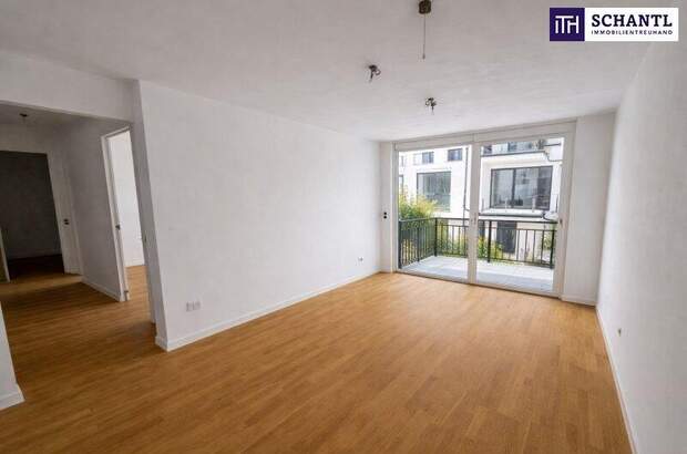 Terrassenwohnung kaufen in 2301 Groß (Bild 1)