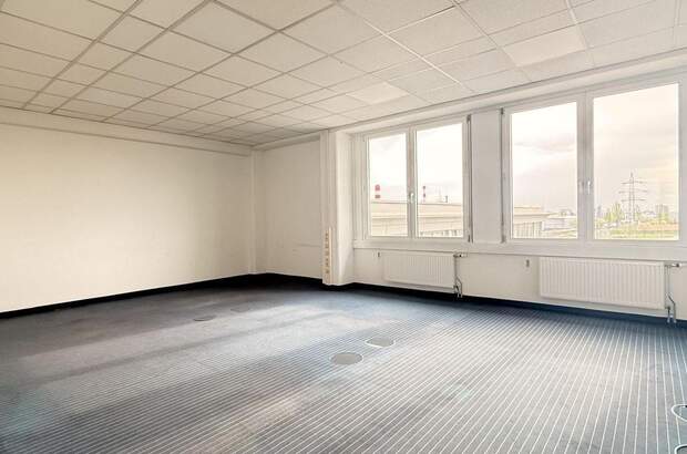 Gewerbeobjekt mieten in 2320 Schwechat (Bild 1)