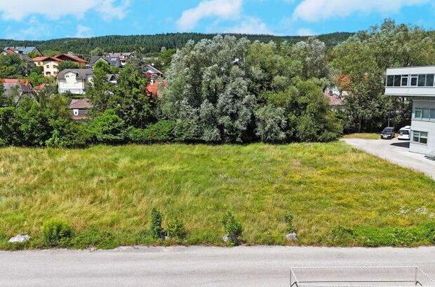 Grundstück kaufen in 3013 Pressbaum (Bild 2)