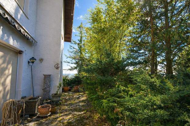 Haus kaufen in 1140 Wien (Bild 2)