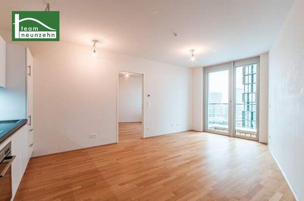 Terrassenwohnung mieten in 1100 Wien (Bild 3)