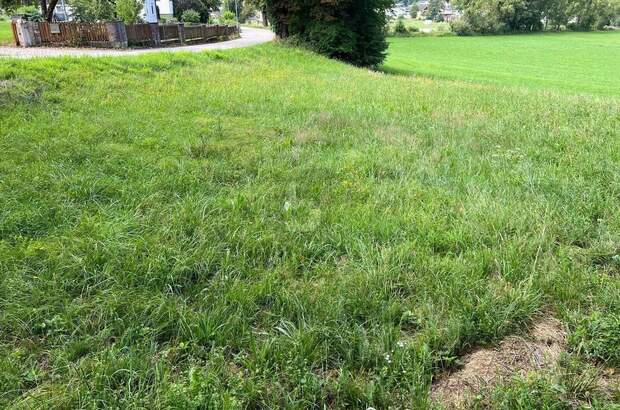 Grundstück kaufen in 9150 Bleiburg (Bild 1)