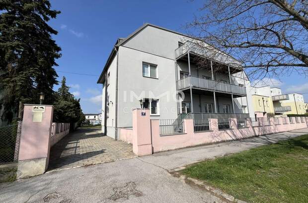 Anlageobjekt kaufen in 2273 Hohenau (Bild 3)
