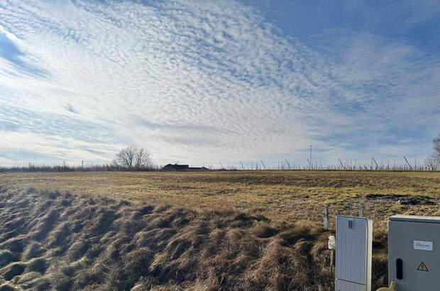 Grundstück kaufen in 8380 Jennersdorf (Bild 4)