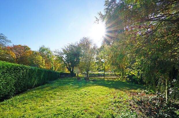 Chalet kaufen in 3013 Tullnerbach (Bild 5)