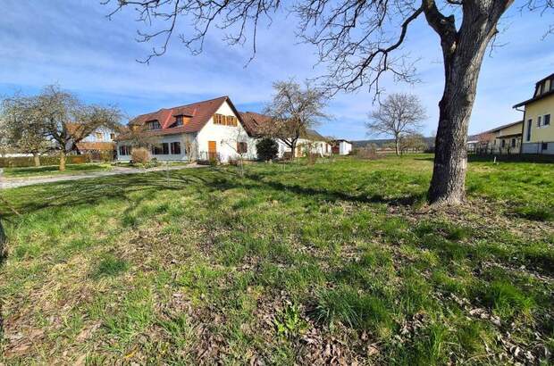 Grundstück kaufen in 8280 Altenmarkt (Bild 2)