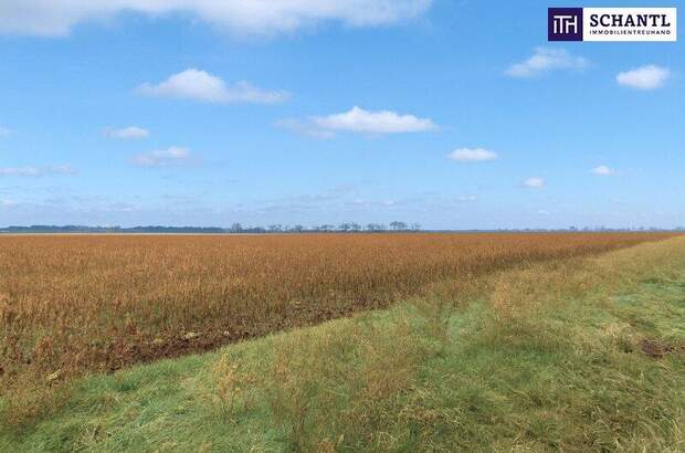 Grundstück kaufen in 2232 Deutsch (Bild 3)
