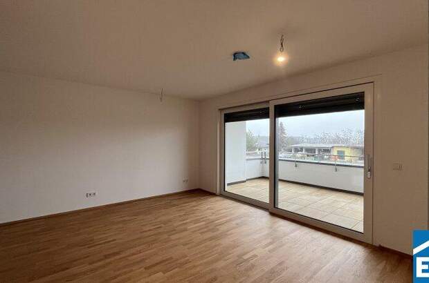 Terrassenwohnung mieten (Bild 4)