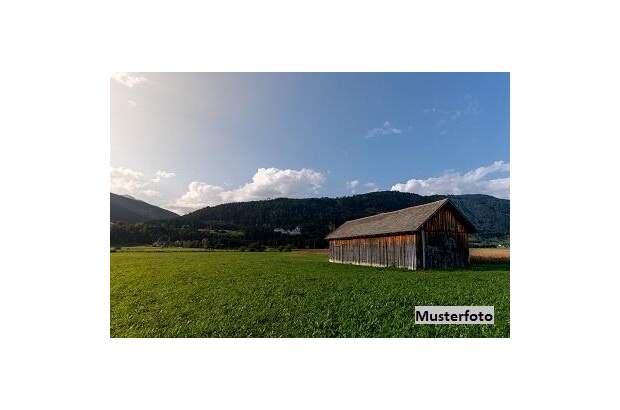 Jagd- und Forstwirtschaft kaufen in 8523 Frauental (Bild 1)