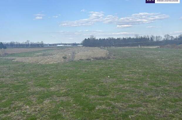 Grundstück kaufen in 8472 Vogau (Bild 1)